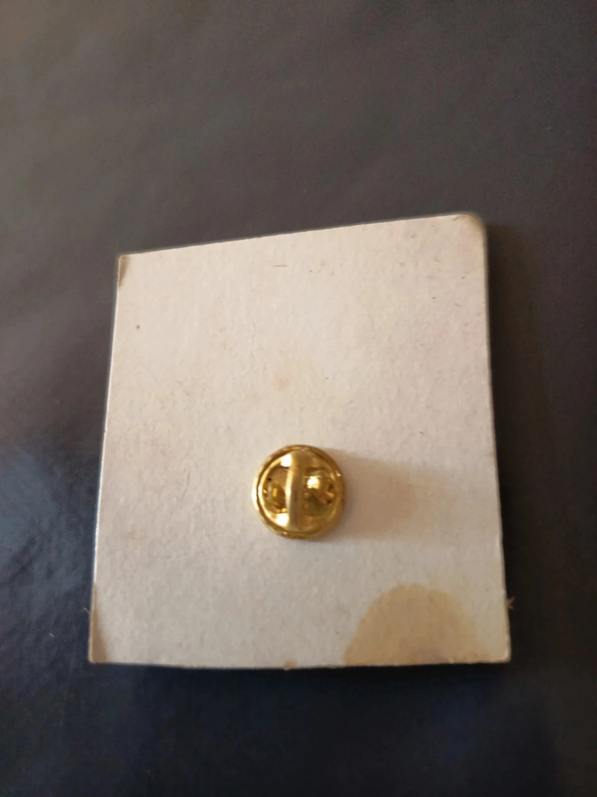 Pauwbroche – photo 2